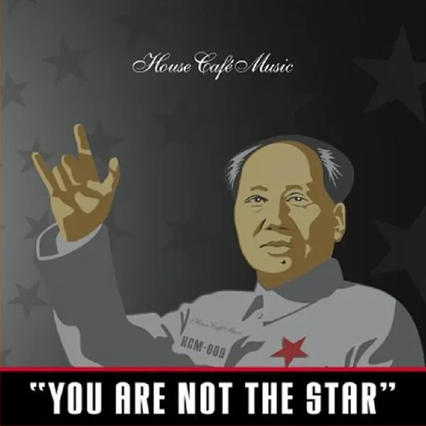 Cover of You Are Not The Star